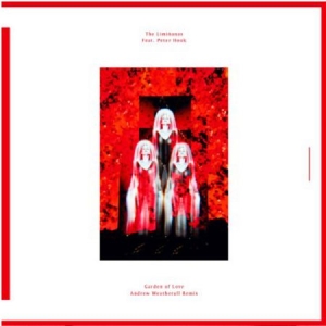 Liminanas - Garden Of Love (Weatherall Remix) in der Gruppe VINYL bei Bengans Skivbutik AB (3034874)