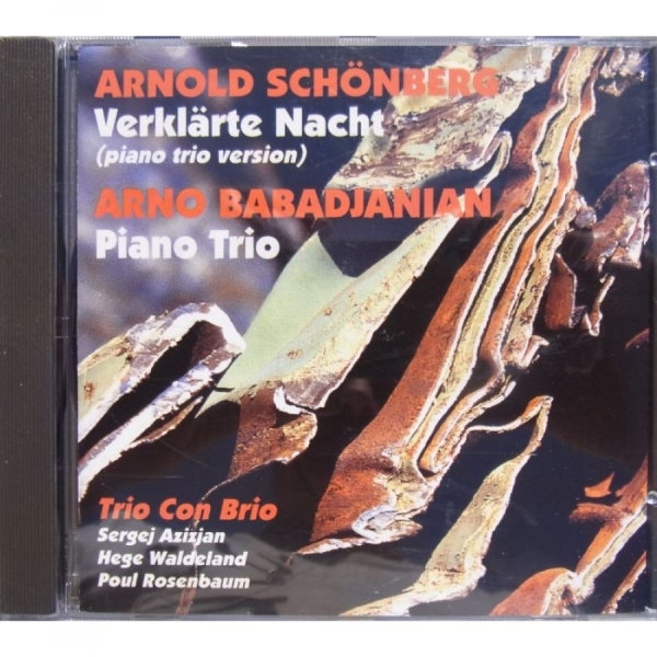 Azizian Sergej/Trio Con Brio - Schönberg: Verklärte Nacht in der Gruppe CD / Bestseller bei Bengans Skivbutik AB (3042173)