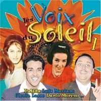 Blandade Artister - Le Soleil Dans La Voix in der Gruppe CD bei Bengans Skivbutik AB (3042783)