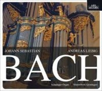 Liebig Andreas - Bach: Orgelwerke in der Gruppe CD bei Bengans Skivbutik AB (3042976)
