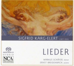 Schäfer Markus / Breidenbach Ernst - Karg-Elert: Lieder in der Gruppe CD bei Bengans Skivbutik AB (3043437)
