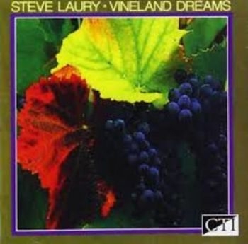 Laury Steve - Vineland Dreams in der Gruppe CD / Jazz/Blues bei Bengans Skivbutik AB (3043499)