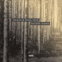 Berg Oddgeir (Trio) - Before Dawn in der Gruppe CD bei Bengans Skivbutik AB (3045759)