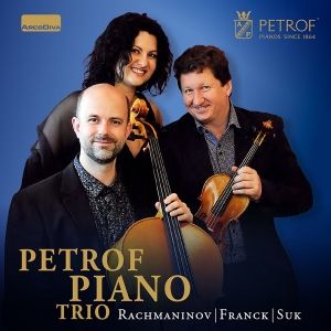 Franck César Rachmaninov Sergey - Piano Trios in der Gruppe CD bei Bengans Skivbutik AB (3049462)