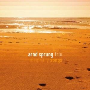 Sprung Arnd (Trio) - Imaginary Songs in der Gruppe CD bei Bengans Skivbutik AB (3049826)