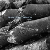 Lombardo Francesca - Terra in der Gruppe VINYL / Dance-Techno bei Bengans Skivbutik AB (3052735)