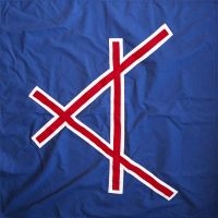 Tangled Hair - We Do What We Can in der Gruppe VINYL / Pop-Rock bei Bengans Skivbutik AB (3052812)