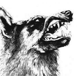 Crippled Black Phoenix - I, Vigilante (CD) in der Gruppe CD bei Bengans Skivbutik AB (3082836)