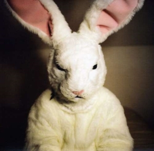 Georgias Horse - Mammoth Session in der Gruppe CD bei Bengans Skivbutik AB (3083532)