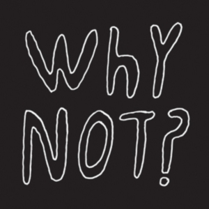 Half Japanese - Why Not? in der Gruppe VINYL bei Bengans Skivbutik AB (3083637)