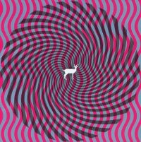 Deerhunter - Cryptograms in der Gruppe VINYL / Pop-Rock bei Bengans Skivbutik AB (3096980)