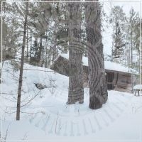 Panopticon - The Scars Of Man On The Once Namele in der Gruppe CD / Hårdrock/ Heavy metal bei Bengans Skivbutik AB (3098791)