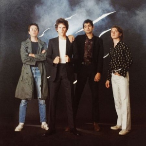 Public Access Tv - Street Safari in der Gruppe VINYL bei Bengans Skivbutik AB (3099151)