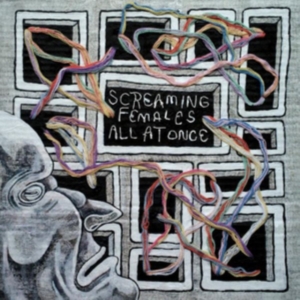 Screaming Females - All At Once in der Gruppe CD bei Bengans Skivbutik AB (3110090)