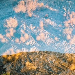 Moon Gangs - Earth Loop in der Gruppe CD bei Bengans Skivbutik AB (3110238)