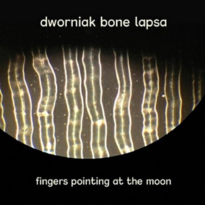 Dworniak Bone Lapsa - Fingers Pointing At The Moon in der Gruppe CD bei Bengans Skivbutik AB (3110240)