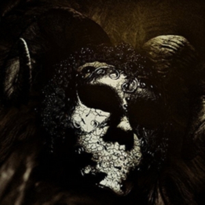 Sheidim - Shrines Of The Void in der Gruppe VINYL bei Bengans Skivbutik AB (3110248)