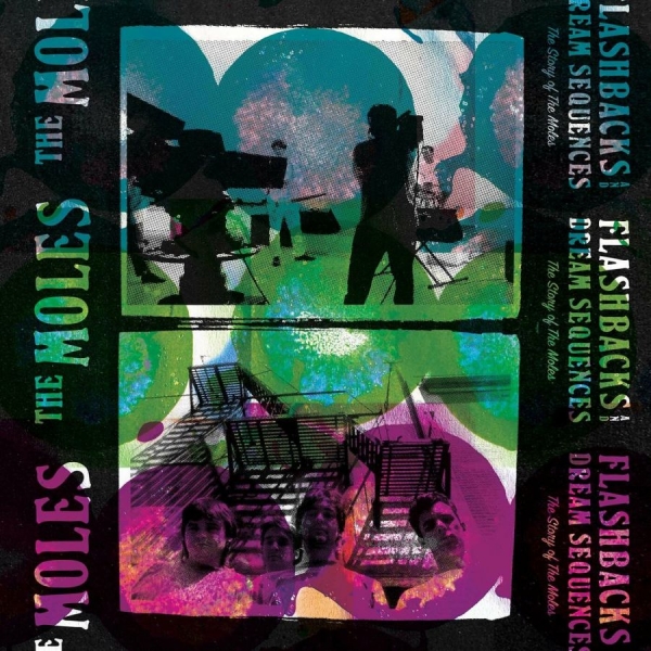 Moles The - Flashbacks And Dream Sequences The in der Gruppe VINYL / Rock bei Bengans Skivbutik AB (3113816)
