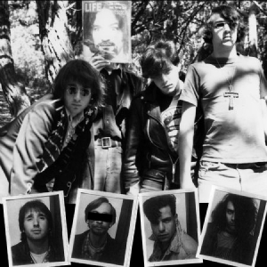 Dwarves - Lick It (1983-86) in der Gruppe VINYL bei Bengans Skivbutik AB (3115800)