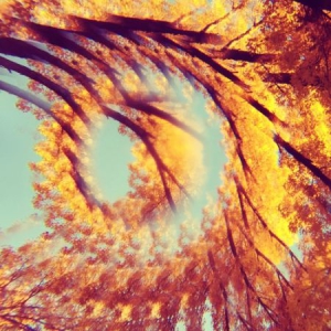 Hawk And A Hacksaw A - Forest Bathing in der Gruppe VINYL bei Bengans Skivbutik AB (3115836)