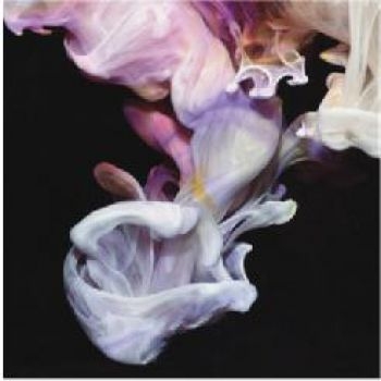 Simian Mobile Disco - Murmurations in der Gruppe CD / Bestseller bei Bengans Skivbutik AB (3115867)