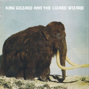 King Gizzard & The Lizard Wizard - Polygondwanaland (Fuzz Club Version in der Gruppe Minishops / King Gizzard bei Bengans Skivbutik AB (3122534)