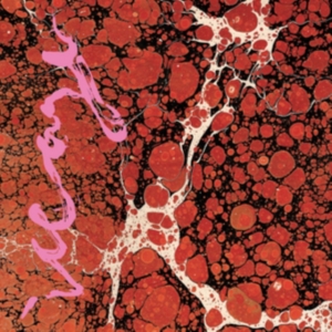 Iceage - Beyondless in der Gruppe CD bei Bengans Skivbutik AB (3128110)