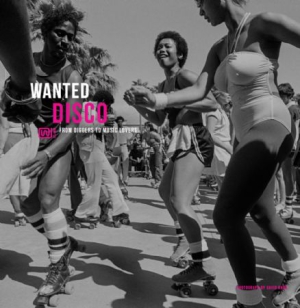 Various Artists - Wanted Disco in der Gruppe VINYL bei Bengans Skivbutik AB (3178302)