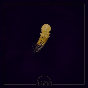 There Will Be Tranquility - There Will Be Tranquility in der Gruppe CD bei Bengans Skivbutik AB (3178331)