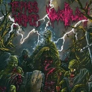 Taphos Nomos / Urdun - Rip Split in der Gruppe CD bei Bengans Skivbutik AB (3179997)