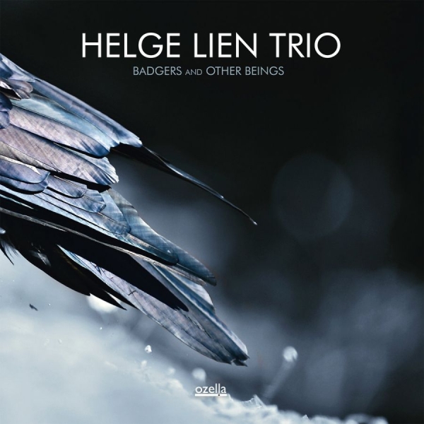 Lien Helge (Trio) - Badgers And Other Beings in der Gruppe CD / Bestseller bei Bengans Skivbutik AB (3186714)