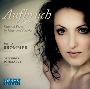 Brommer - Aufbruch in der Gruppe CD bei Bengans Skivbutik AB (3187151)