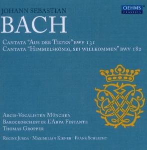 Bach - Kantaten in der Gruppe CD bei Bengans Skivbutik AB (3187443)