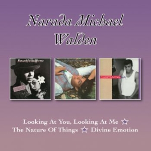 Walden Narada Michael - Looking At You../Nature Of Things/D in der Gruppe CD bei Bengans Skivbutik AB (3199859)