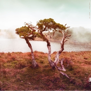 Slowly Rolling Camera - Juniper in der Gruppe CD / Jazz bei Bengans Skivbutik AB (3199870)