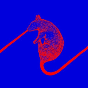 Dwarfs Of East Agouza - Rats Don't Eat Synthesizers in der Gruppe VINYL bei Bengans Skivbutik AB (3205111)