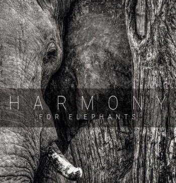 Various Artists - Harmony For Elephants ~ A Charity A in der Gruppe CD / Bestseller bei Bengans Skivbutik AB (3205254)