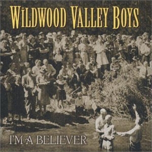 Wildwood Valley Boys - I'm A Believer in der Gruppe CD bei Bengans Skivbutik AB (3205447)