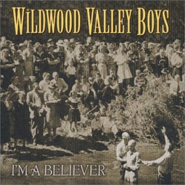 Wildwood Valley Boys - I'm A Believer in der Gruppe CD / Bestseller bei Bengans Skivbutik AB (3205447)