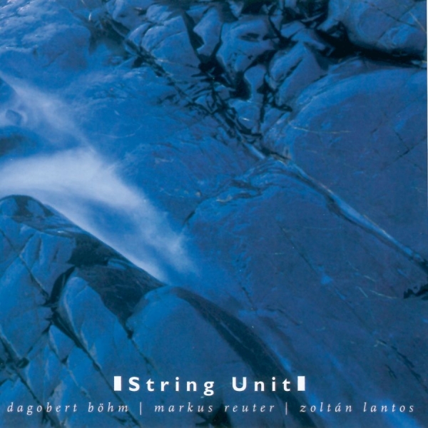 Böhm Dagobert Markus Reuter Zolt - String Unit in der Gruppe CD / Bestseller bei Bengans Skivbutik AB (3207936)
