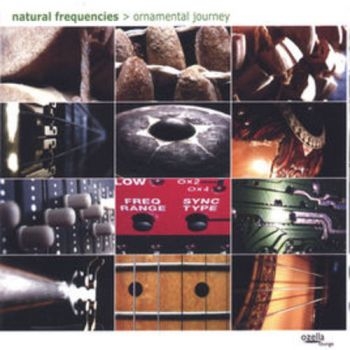 Natural Frequencies (Aka Andreas Le - Ornamental Journey in der Gruppe CD / Pop bei Bengans Skivbutik AB (3208029)