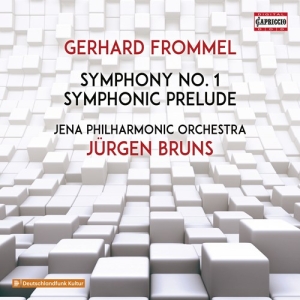 Frommel Gerhard - Symphony No. 1 in der Gruppe CD bei Bengans Skivbutik AB (3208398)