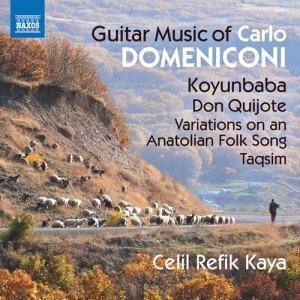 Domeniconi Carlo - Guitar Music in der Gruppe CD bei Bengans Skivbutik AB (3208490)