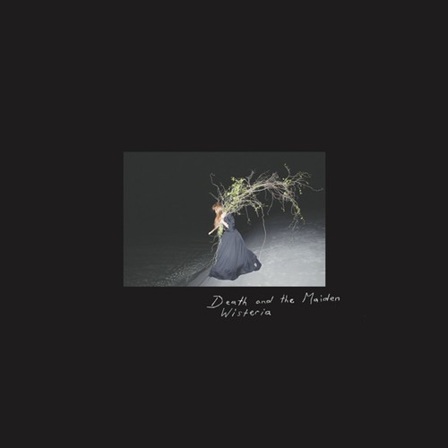 Death And The Maiden - Wisteria in der Gruppe VINYL / Rock bei Bengans Skivbutik AB (3210272)