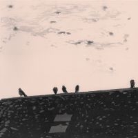 Stuart A. Staples - Arrhythmia in der Gruppe VINYL / Rock bei Bengans Skivbutik AB (3211178)