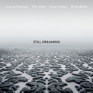 Joshua Redman - Still Dreaming (Feat. Ron Mile in der Gruppe Minishops / Joshua Redman bei Bengans Skivbutik AB (3211228)