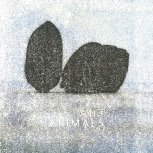 Distant Animals - Lines in der Gruppe VINYL bei Bengans Skivbutik AB (3212029)