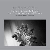 Oiseaux-Tempête & The Bunny Tylers - The True History Of The Tortoise & in der Gruppe UNSERE TIPPS / Freitagsveröffentlichungen / 2025-09-26 bei Bengans Skivbutik AB (3212101)