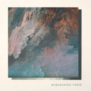 Chisholm Ben & Felix Skinner - Burgeoning Verse in der Gruppe VINYL bei Bengans Skivbutik AB (3212108)