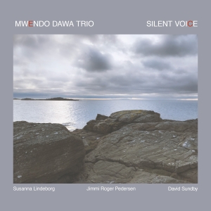 Mwendo Dawa Trio - Silent Voice in der Gruppe CD bei Bengans Skivbutik AB (3212122)